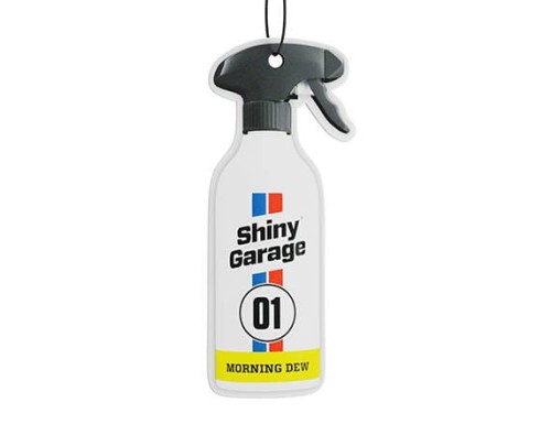 pol_pl_Hanging-Air-Freshener-Morning-Dew-232_2.jpg