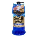 pol_pl_Prostaff-Gachiawa-Car-Shampoo-760-ml-34_1.jpg