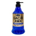 pol_pl_Prostaff-Gachiawa-Car-Shampoo-760-ml-34_2.jpg