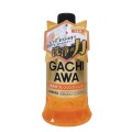 pol_pl_Prostaff-Gachiawa-Cleansing-Car-Shampoo-760-ml-35_1.jpg