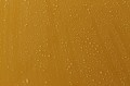 easycoat2a.jpg