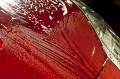 bathe_plus_50_50-1200x797.jpg